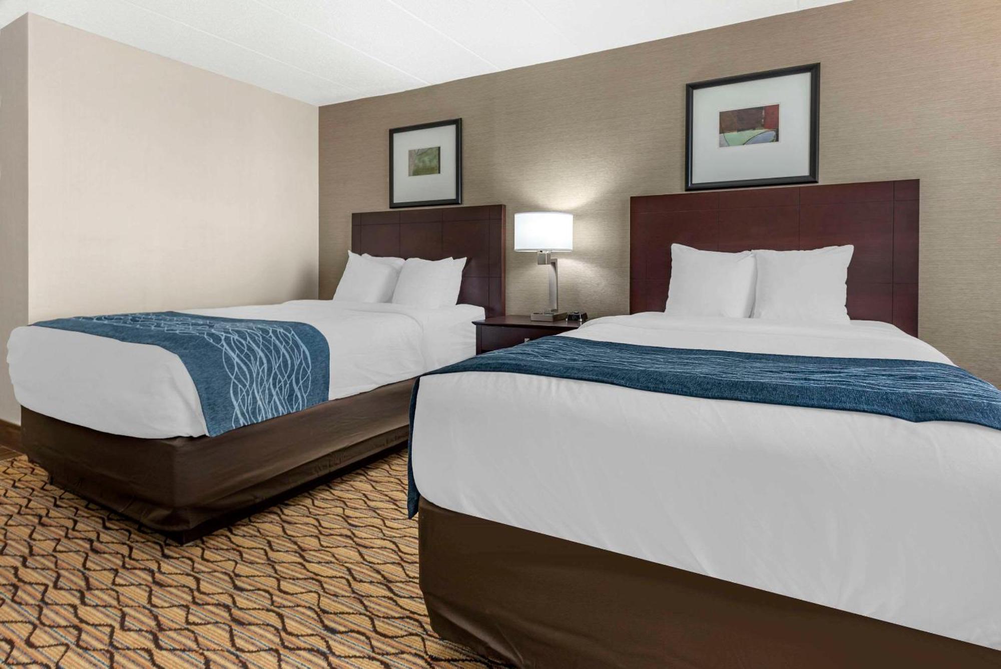 Comfort Inn & Suites Glen Mills - West Chester Экстерьер фото